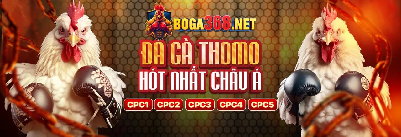 Hình ảnh chính về xổ số trực tuyến mcw66 code